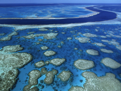 Great-Barrier-Reef-Marine-Park-Queensland-australia-23340497-1600-1200
